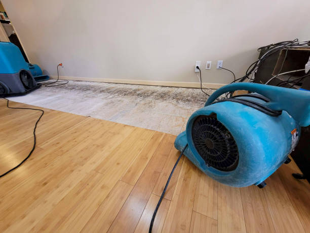 Professional Flood Damage Cleanup technician working in Greenville, NY